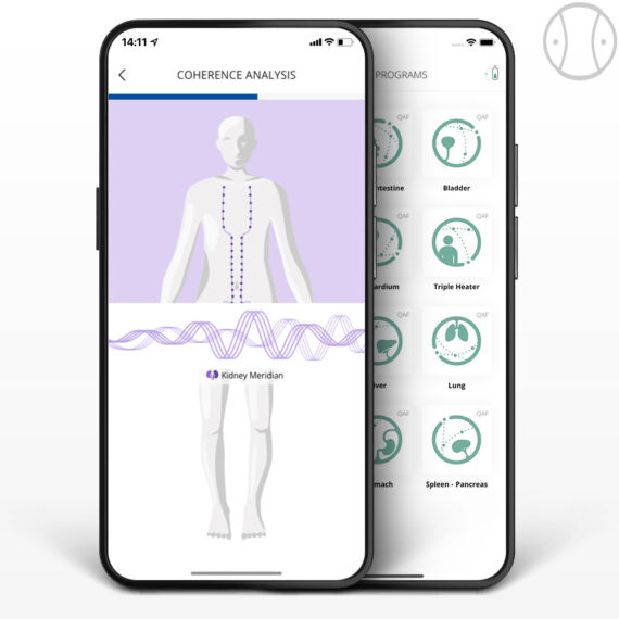 HealAdvisor Analyse Meridyen